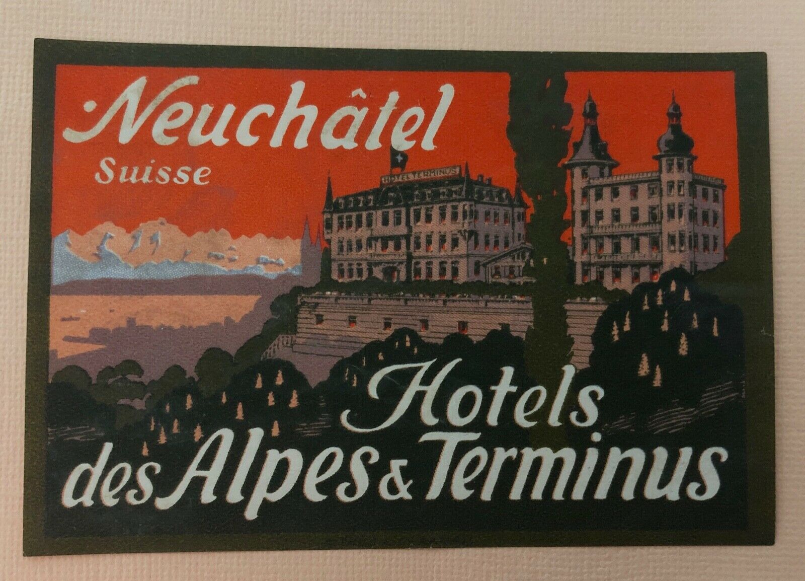 Hotel Luggage Label Hotels des Alpes & Terminus, Neuchatel  - Switzerland (Trüb)