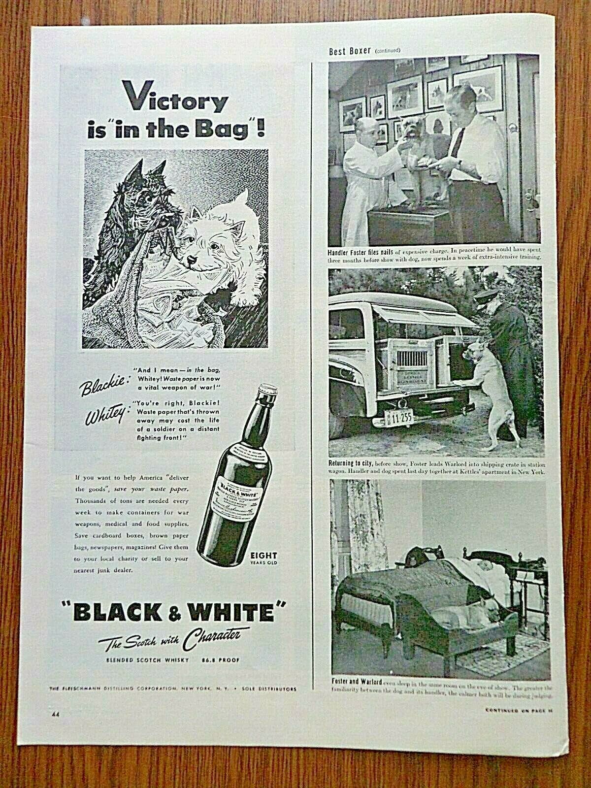 1944 Black White Scottish Scotty Terrier Westie Ad Victory Is In The Mail Bag