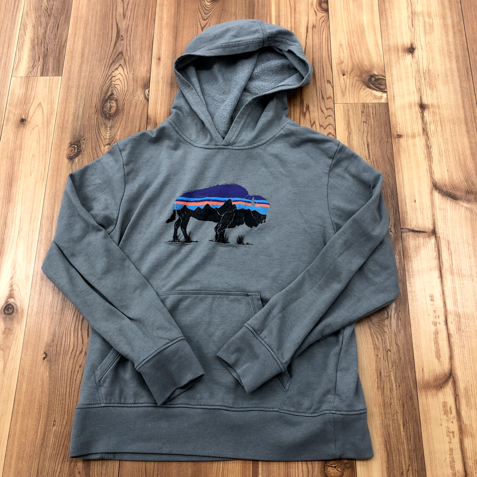Patagonia Gray Colorful Buffalo Back For Good Graphic Sweatshirt Youth Size XL