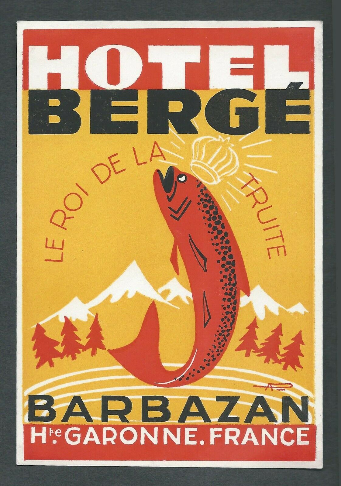 Hotel Bergé BARBAZAN France - vintage luggage label