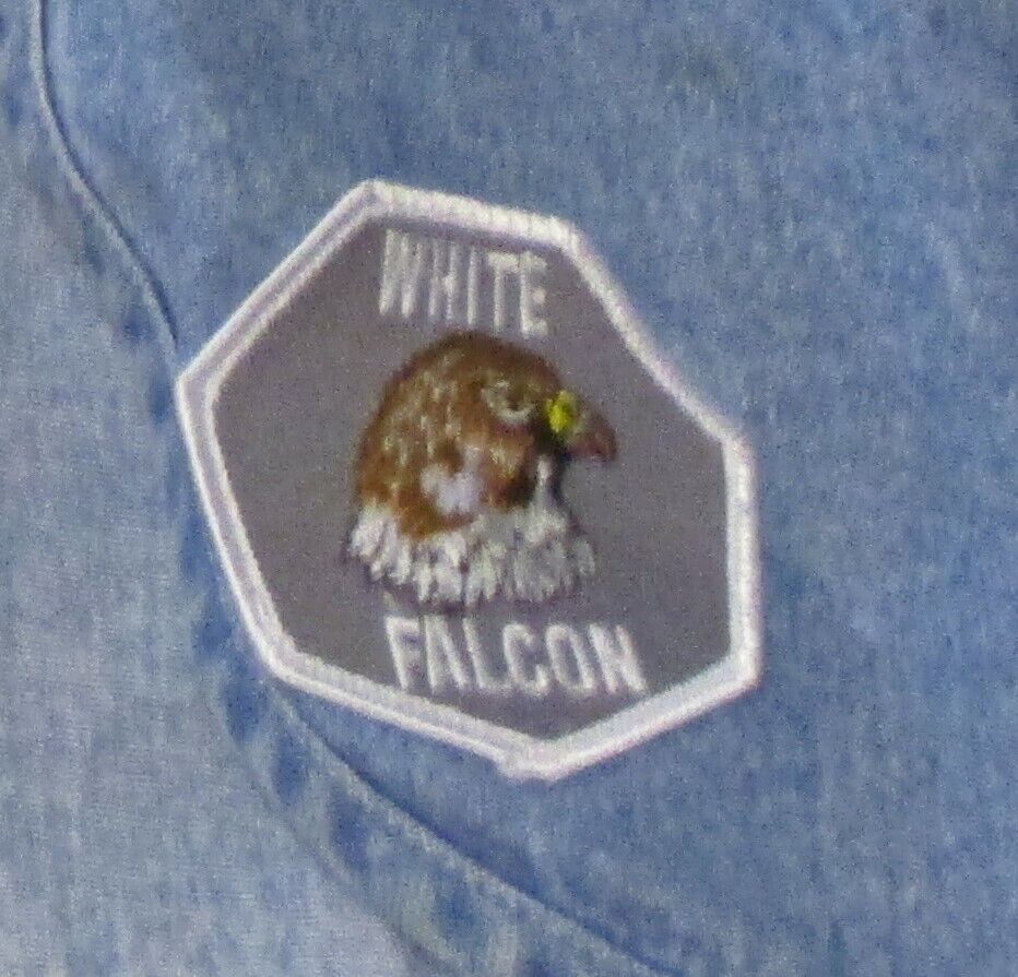 Royal Rangers White Falcon Patch Badge