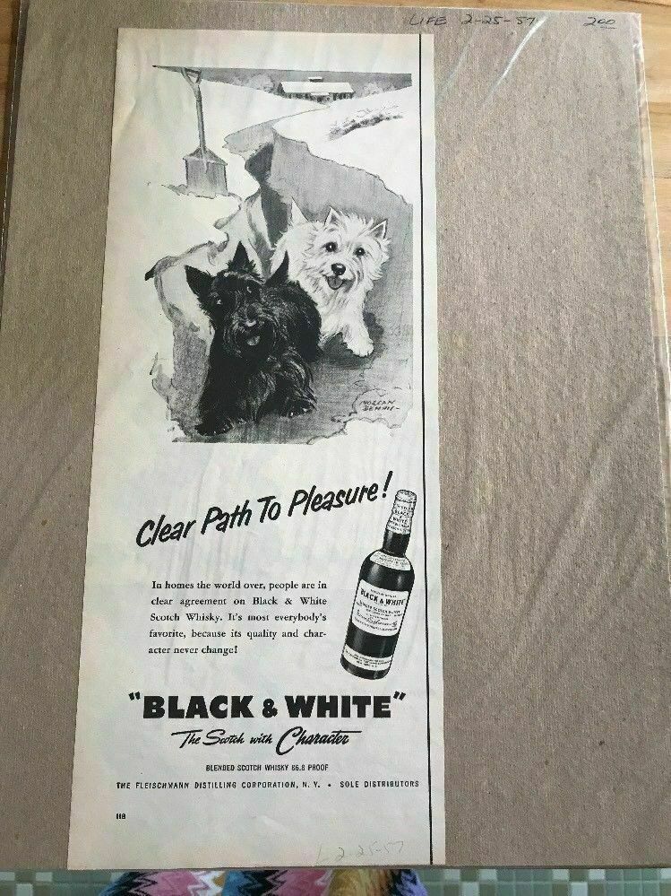Vintage Print Advertising: SCOTTIE/WESTIE Life 2-25-57) 